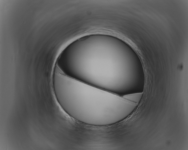 X0000091711536200708240945