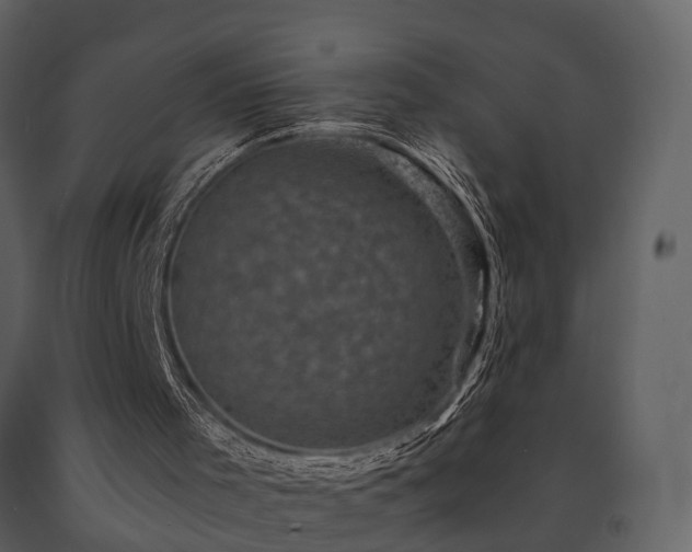 X0000091710001200708241258