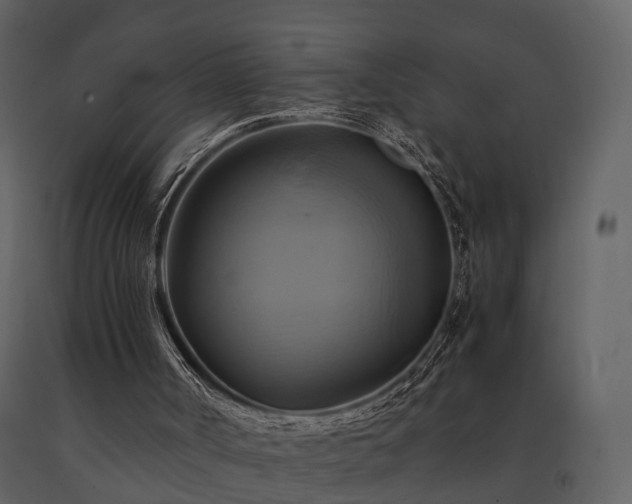 X0000091710002200708241258