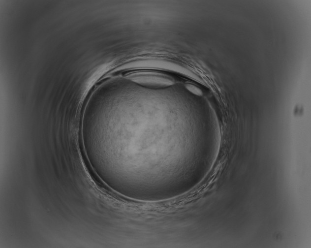 X0000091710003200708241258