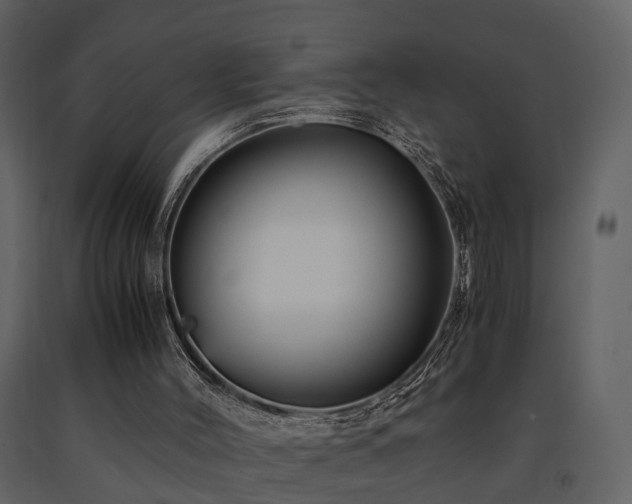 X0000091710004200708241258