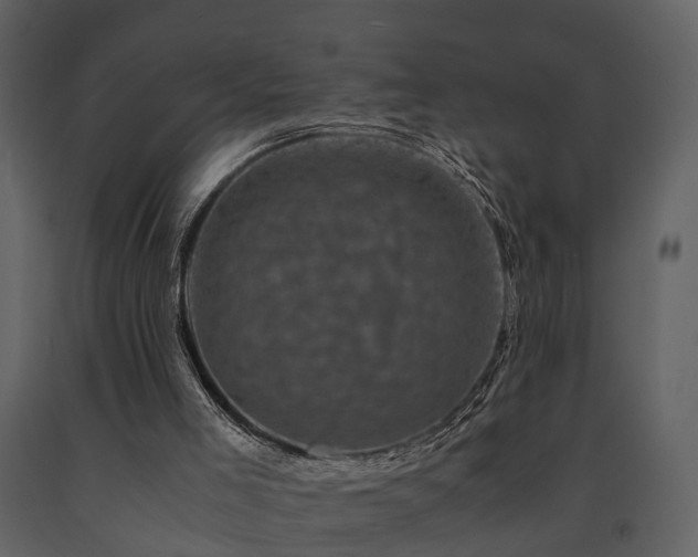 X0000091710005200708241258