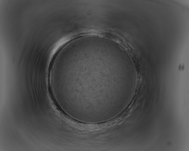 X0000091710006200708241258