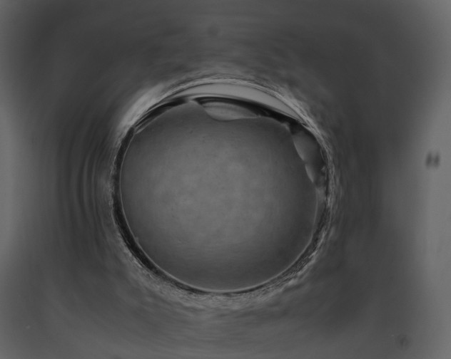 X0000091710007200708241258