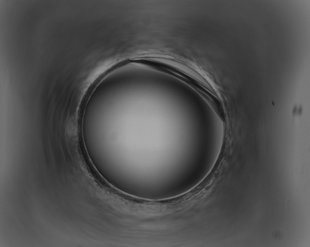 X0000091710008200708241258