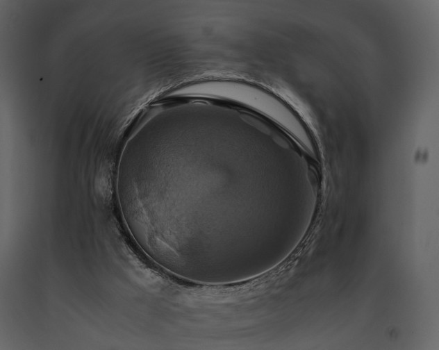 X0000091710009200708241258