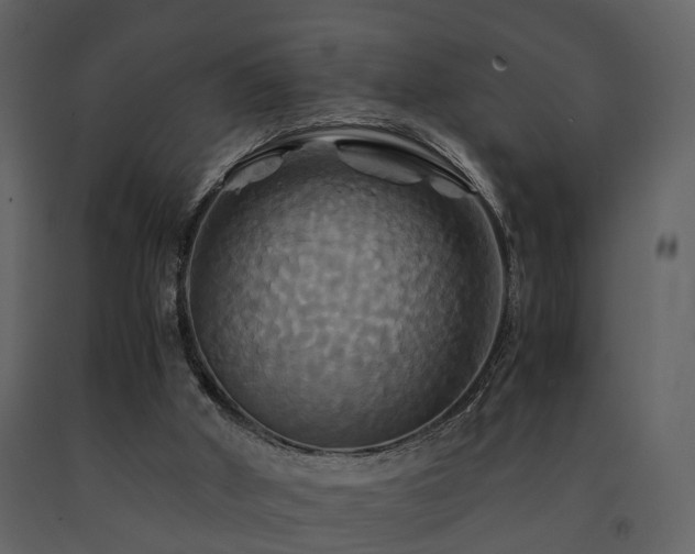 X0000091710010200708241258