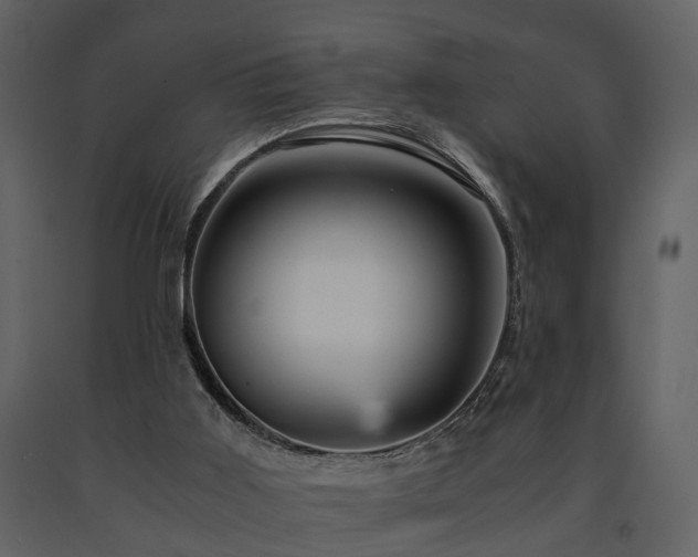 X0000091710011200708241258