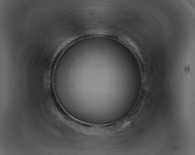 X0000091710012200708241258