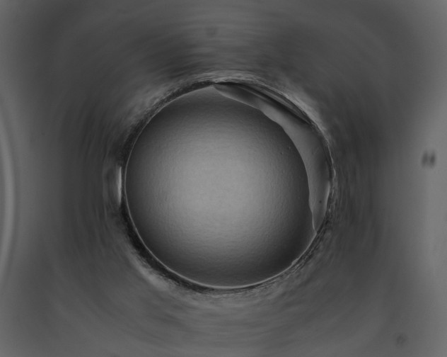 X0000091710013200708241258