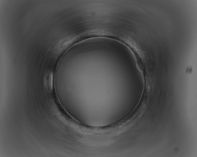 X0000091710014200708241258