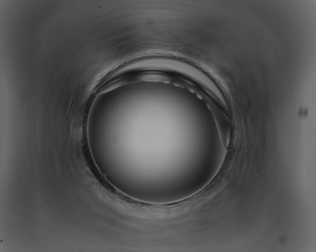 X0000091710015200708241258