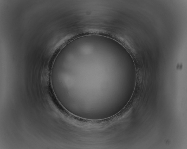 X0000091710016200708241258