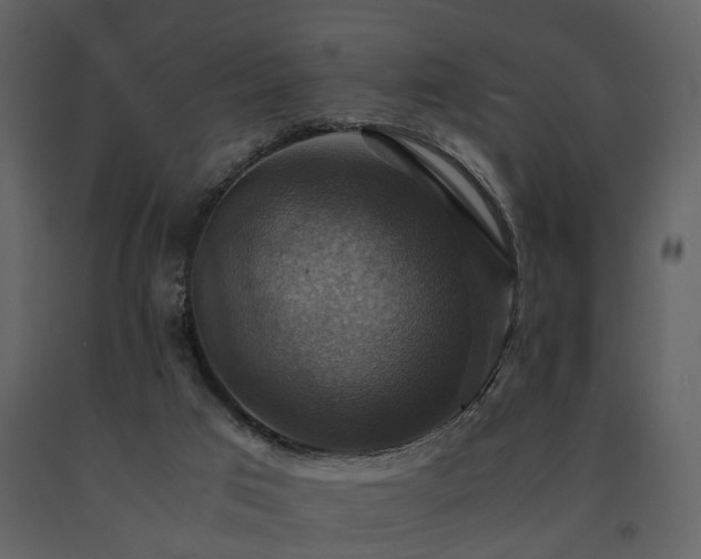 X0000091710017200708241258