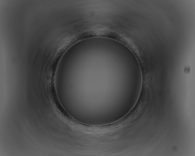 X0000091710018200708241258