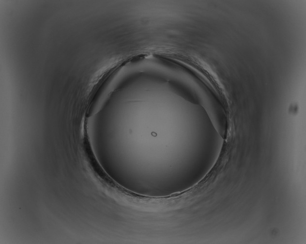 X0000091710019200708241258