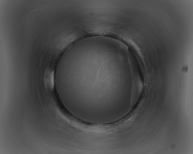 X0000091710020200708241258