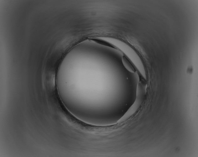 X0000091710021200708241258