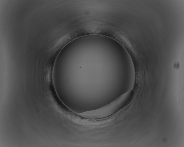 X0000091710023200708241257