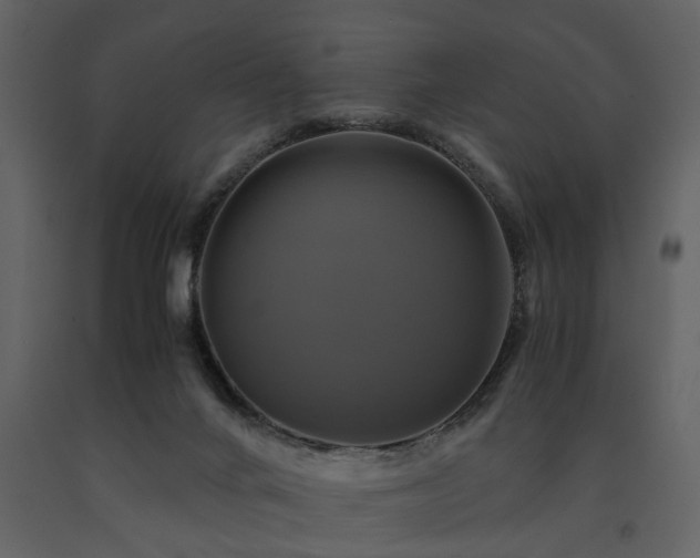 X0000091710024200708241257