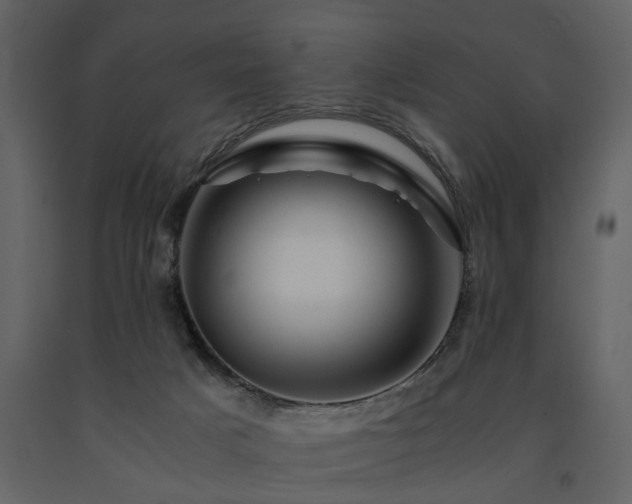 X0000091710025200708241257