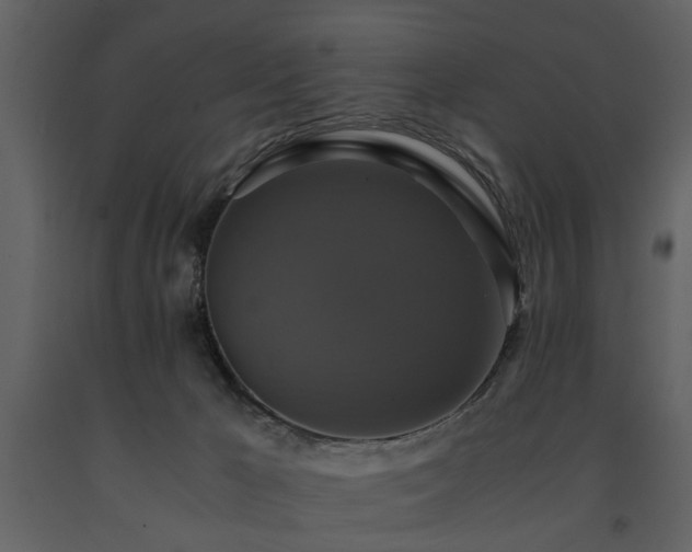 X0000091710029200708241257