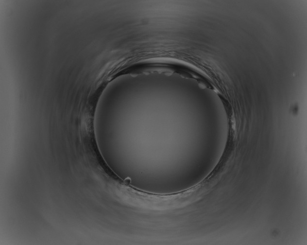 X0000091710035200708241257