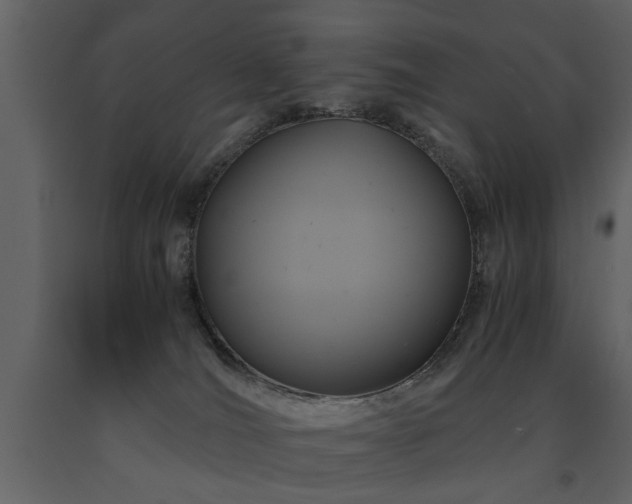 X0000091710036200708241257