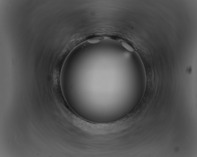 X0000091710038200708241257