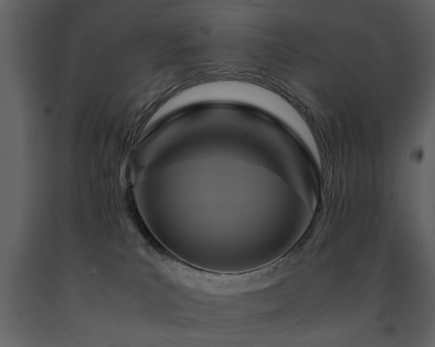 X0000091710039200708241257