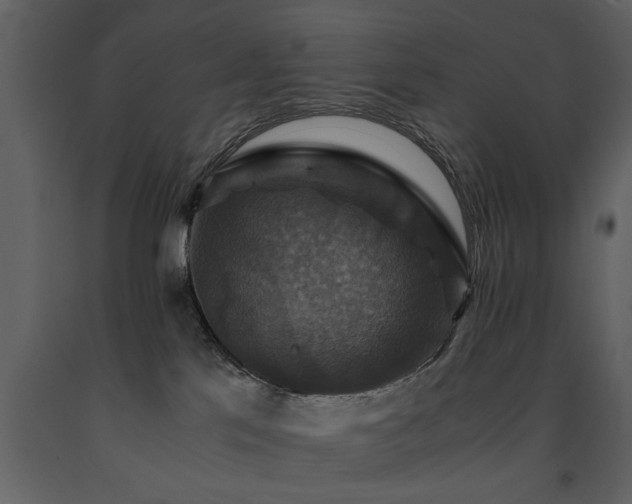 X0000091710041200708241257