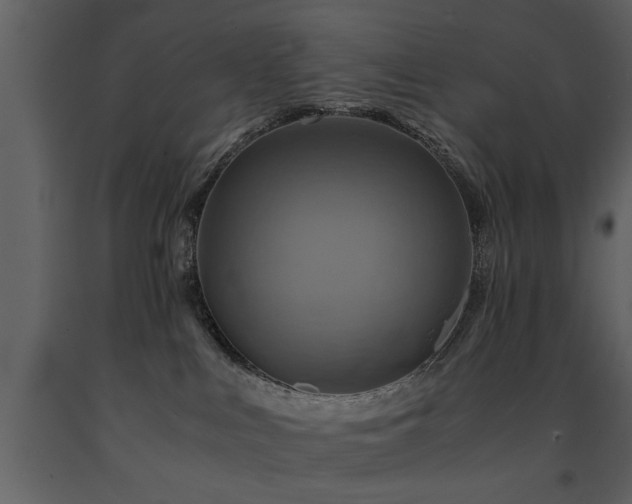 X0000091710043200708241257