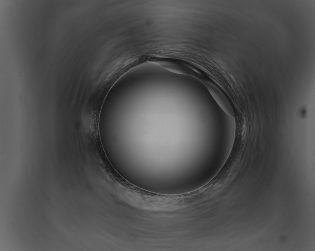 X0000091710044200708241257