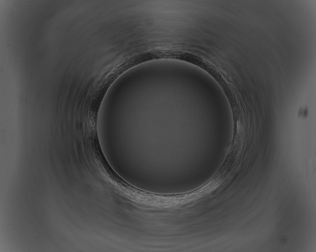 X0000091710048200708241257