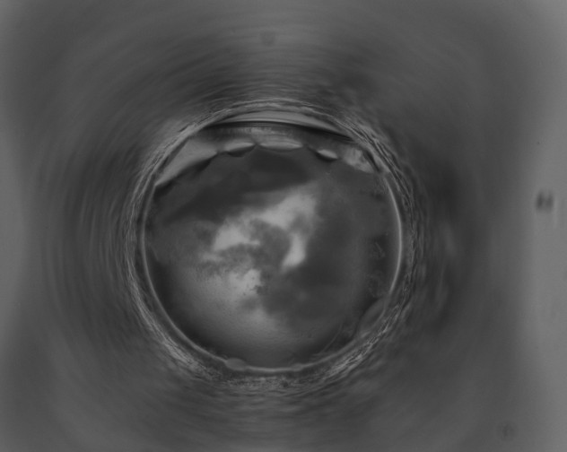 X0000091710049200708241256