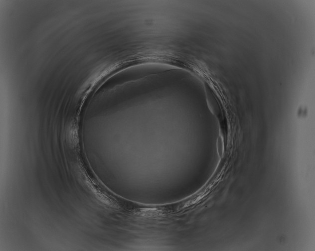 X0000091710050200708241256