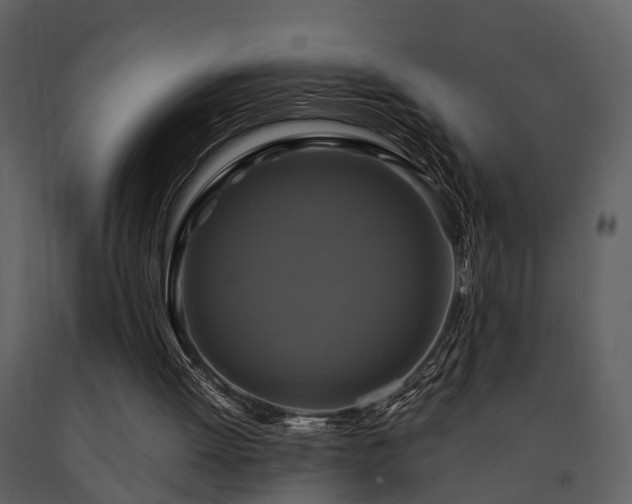 X0000091710052200708241256