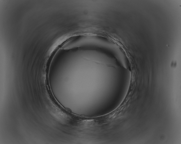 X0000091710054200708241256