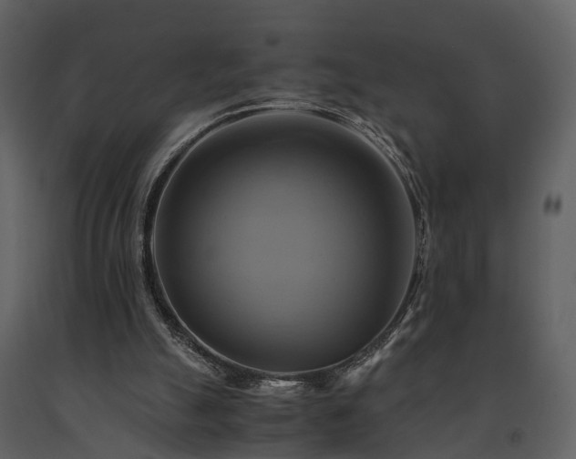 X0000091710055200708241256