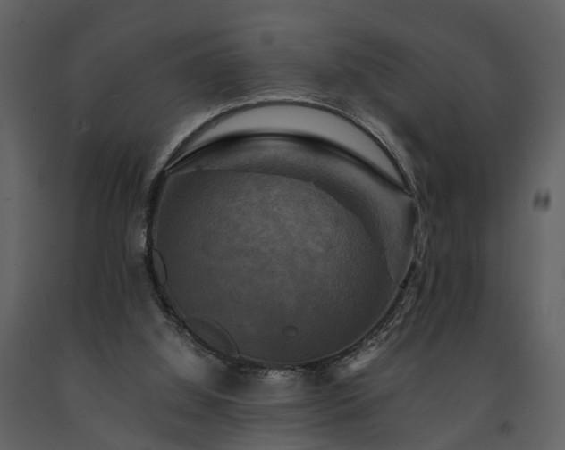 X0000091710060200708241256