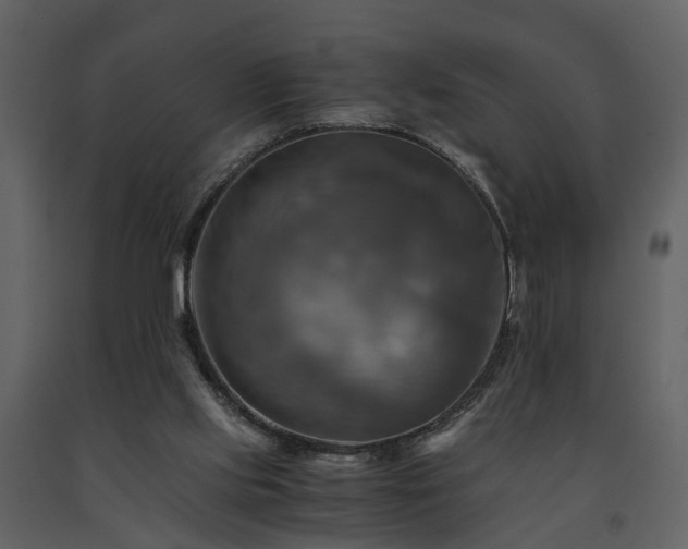 X0000091710061200708241256