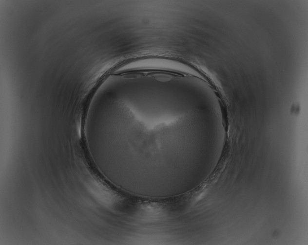 X0000091710062200708241256