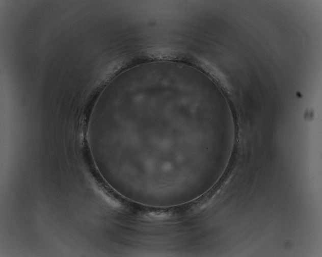 X0000091710065200708241257