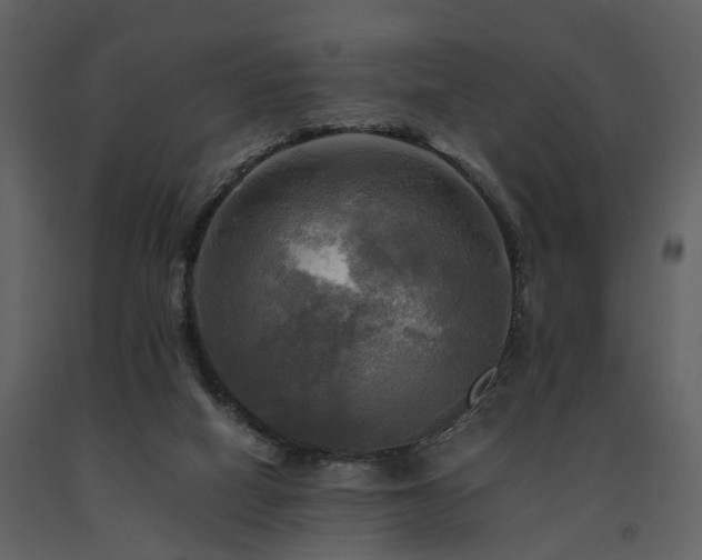 X0000091710066200708241257