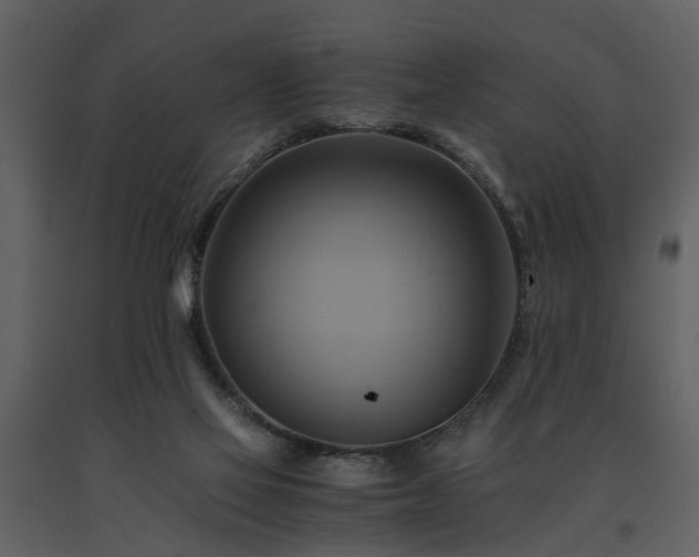 X0000091710069200708241257