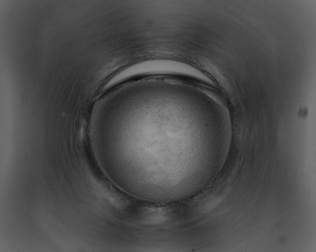 X0000091710071200708241257