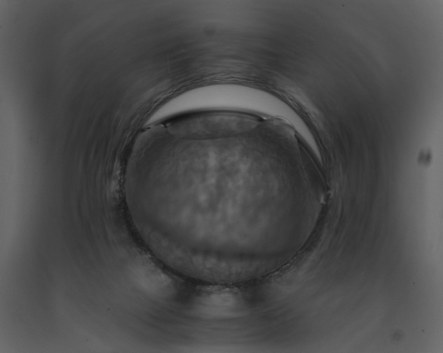 X0000091710073200708241257