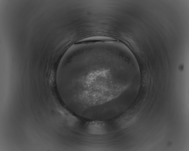 X0000091710077200708241257