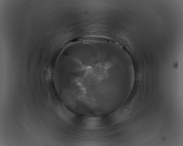 X0000091710081200708241257