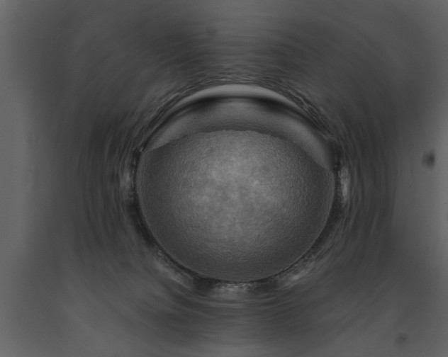 X0000091710084200708241257